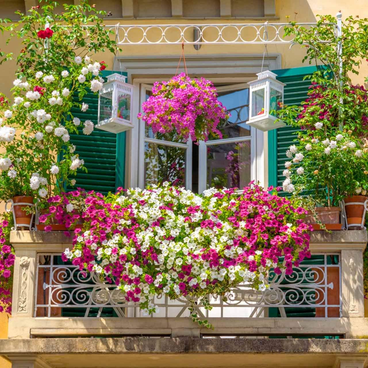 Dress Up Your Balcony In 2026 With These Garden Designs