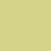Gladiola 22157